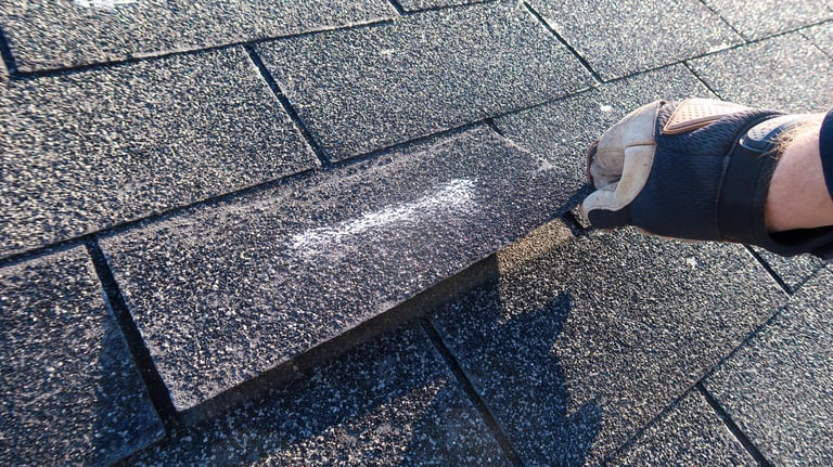 Roof inspection